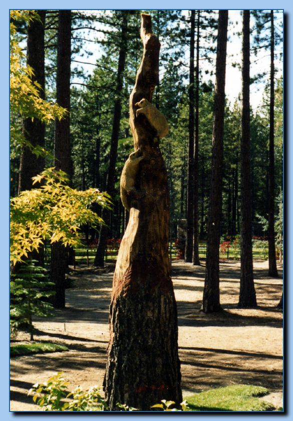 2-40 vertical squirrel collage-archive